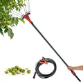 Olivenrüttler 270 cm