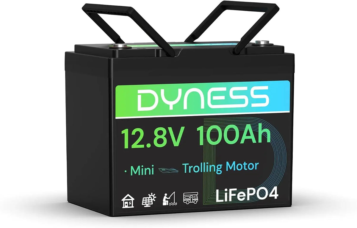 Dyness Batterie 100A 12 V mit Solarfunktion