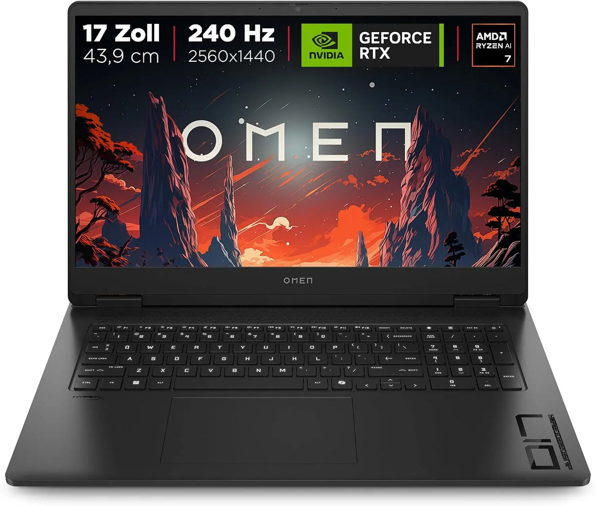 HP Laptop 24GB